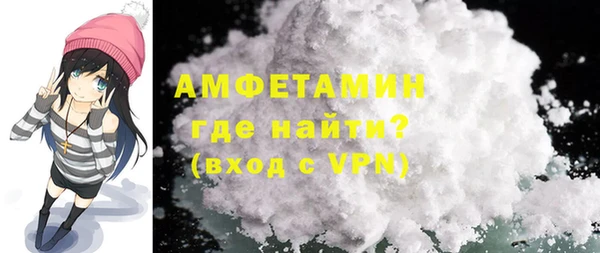 шишки Арсеньев
