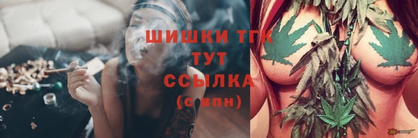PSILOCYBIN Баксан