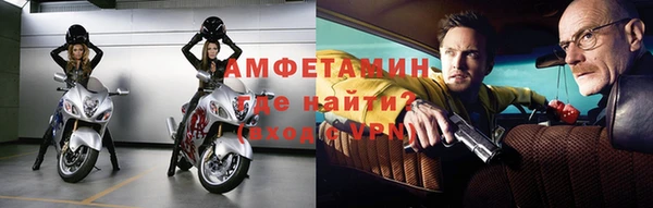 шишки Арсеньев