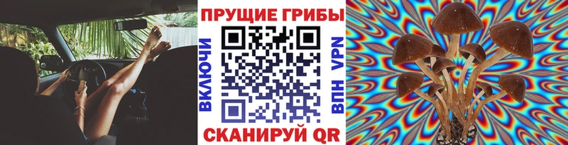 Псилоцибиновые грибы MAGIC MUSHROOMS Бологое